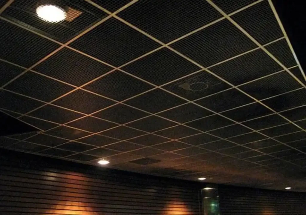 سقف اگوستیک