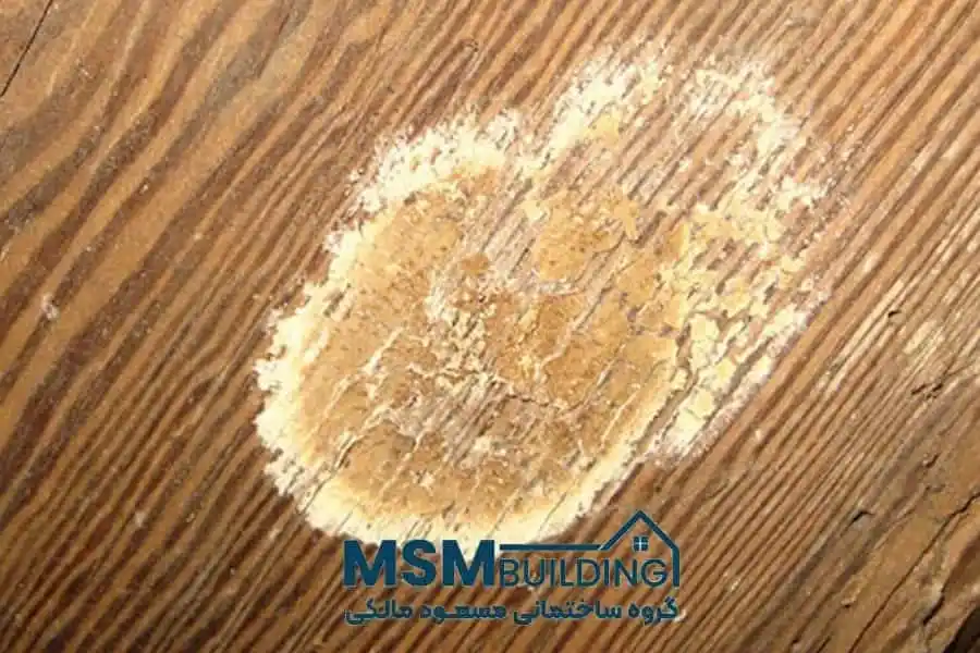 پوسیدن چوب چه تغییری است