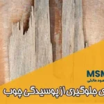 جلوگیری از پوسیدگی چوب