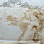آسیب‌ شناسی نم و رطوبت