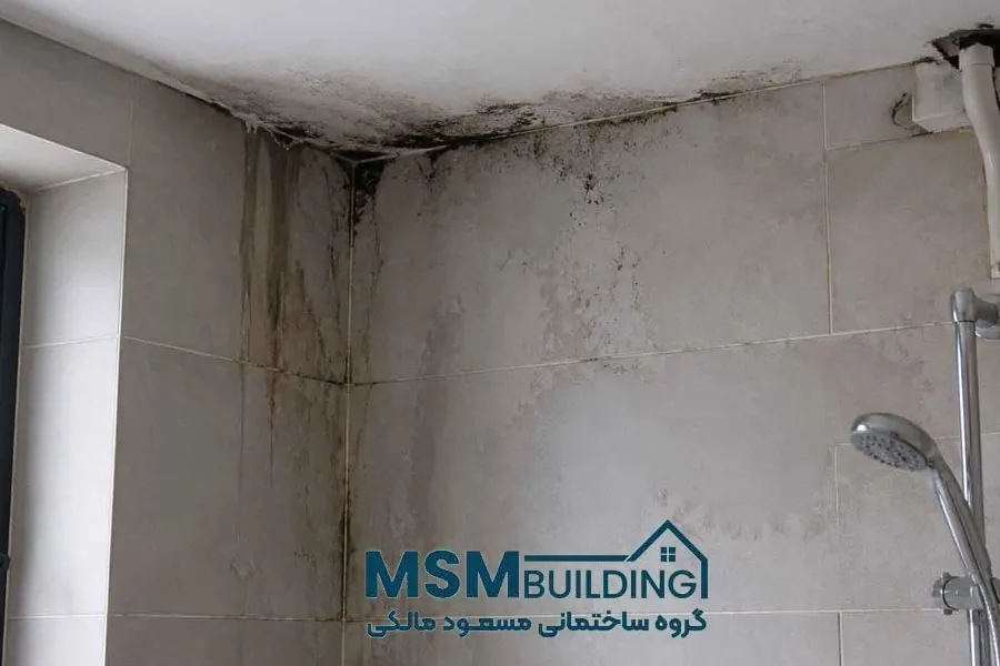 علل اصلی بروز نم و رطوبت در کاشیکاری